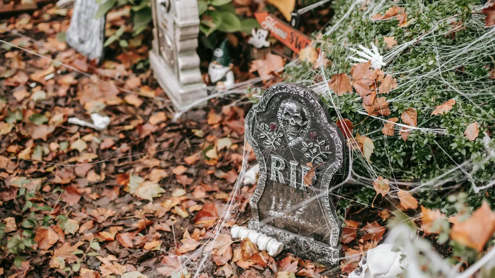 The Perils of Set and Forget: Why Your Amazon PPC Account Needs as Much Care as Your Garden